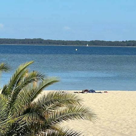 Chalet Et Jaccuzy Sur La Plage Biscarrosse Eksteriør billede