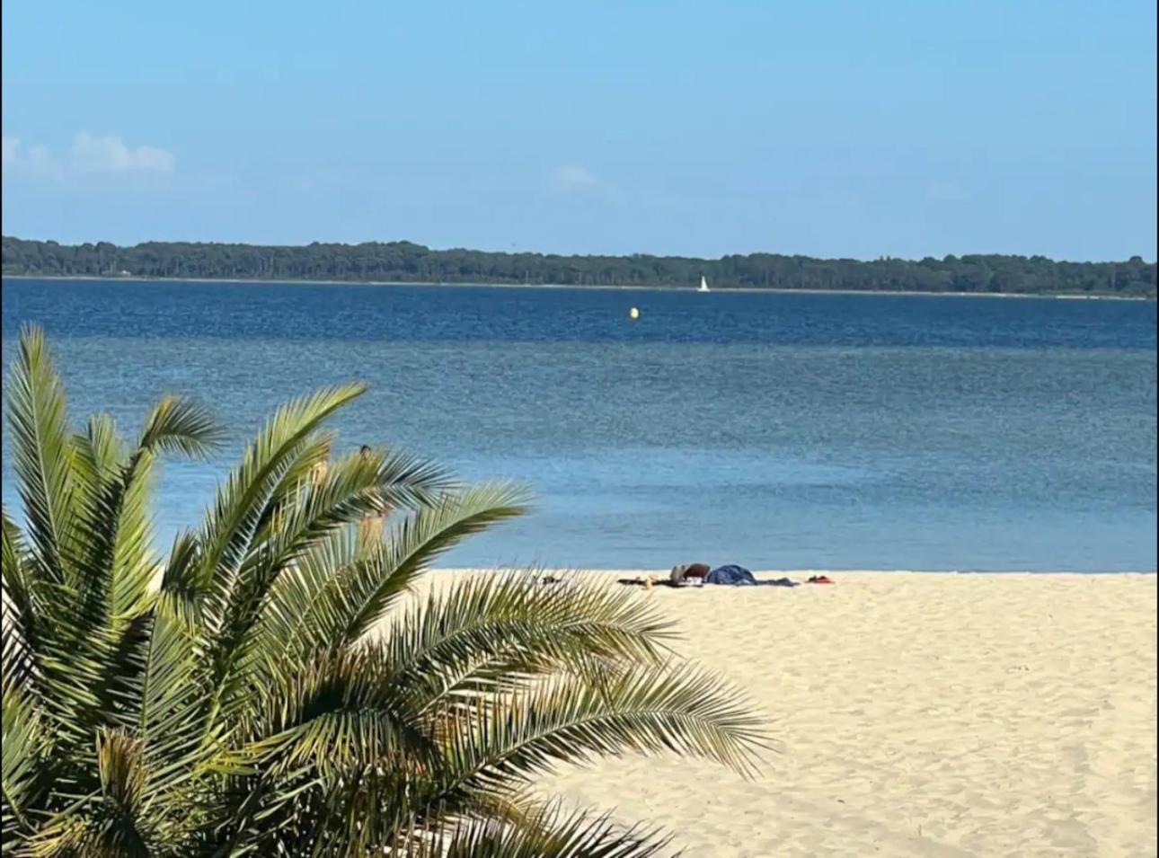 Chalet Et Jaccuzy Sur La Plage Biscarrosse Eksteriør billede